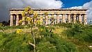  Segesta