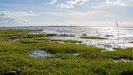 Wattenmeer