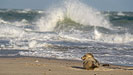 wo Nord und Ostsee sich begegnen