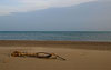 Narbonne Plage Frankreich