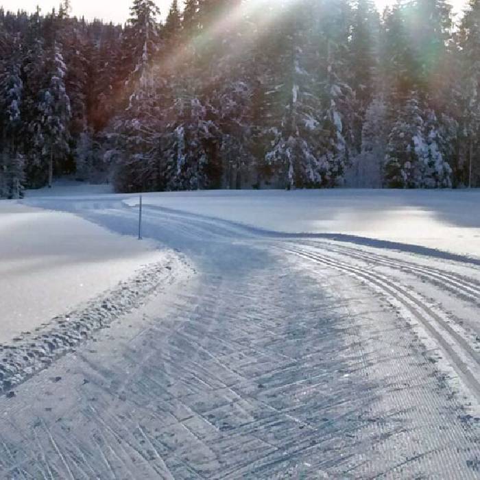 Loipe in Balderschwang