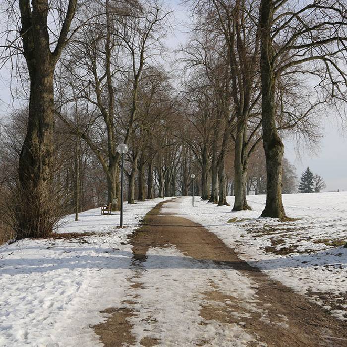 auf dem Spaziergang ins Dorf