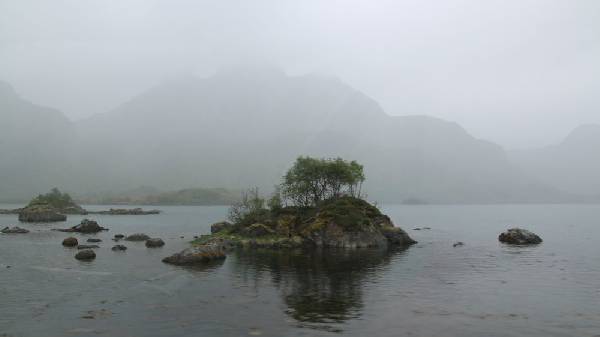 Nebel und Regen