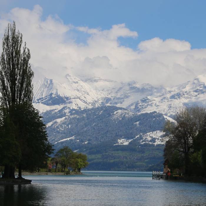 Thunersee und Alpen