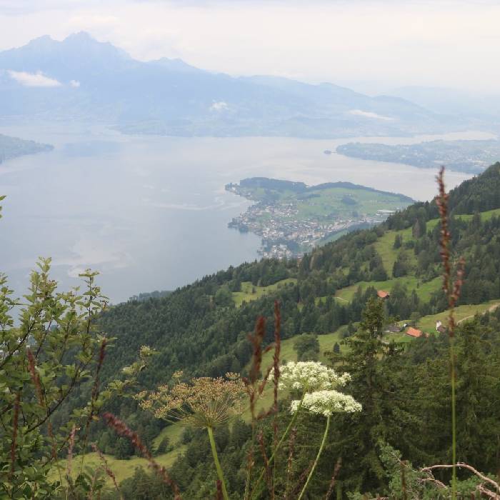 hoch auf dem Rigi