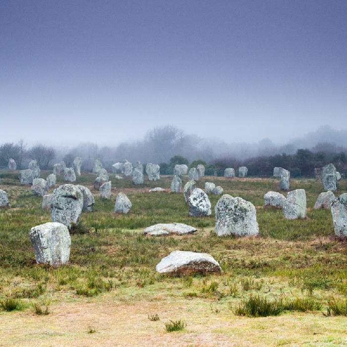 Menelithenfelder in Carnac