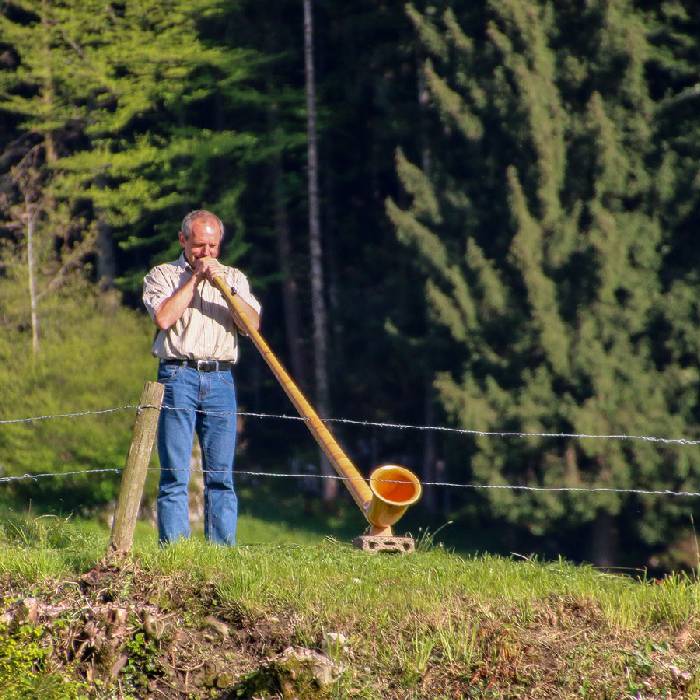 Richi und sein Alphorn