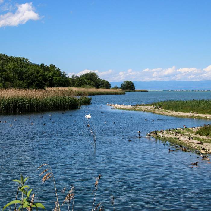 Naturschutzgebiet