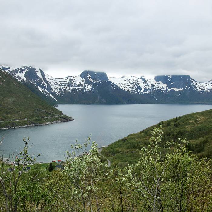 Fijord auf Senja