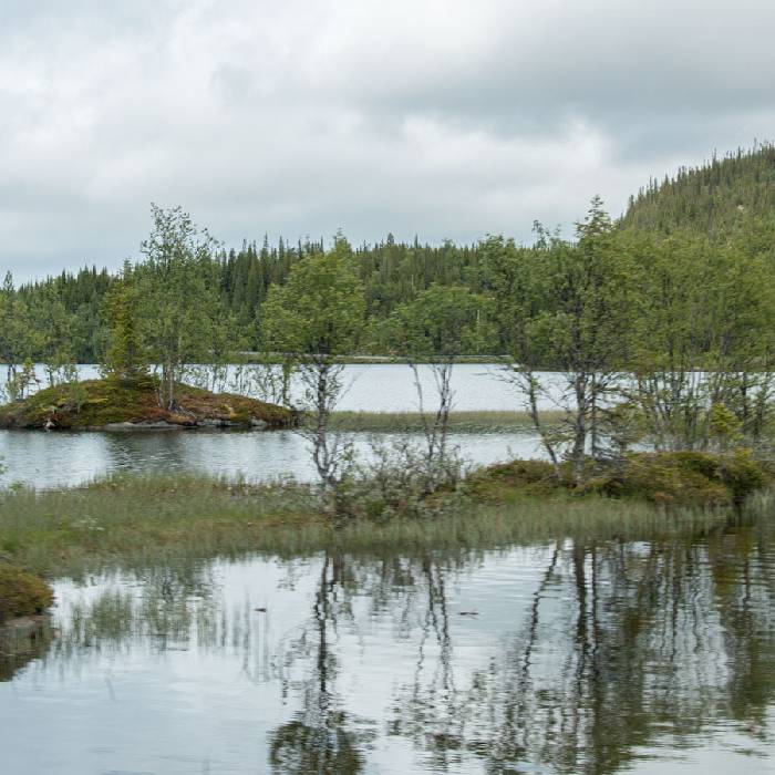 Seenlandschaft