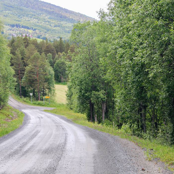 Naturstrasse mit Verkehrsschilder