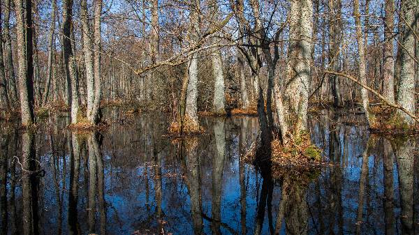 Kurische Nehrung entlang der Hauptstrasse