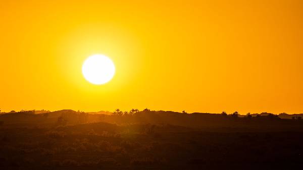 Sonnenuntergang über der Oase