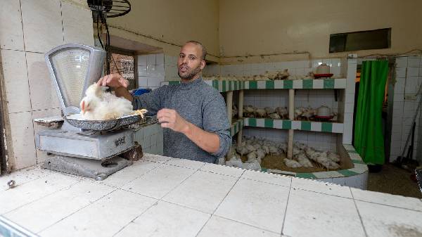 Unser gekauftes Huhn auf der Waage