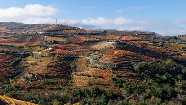 Im Hinterland von Porto